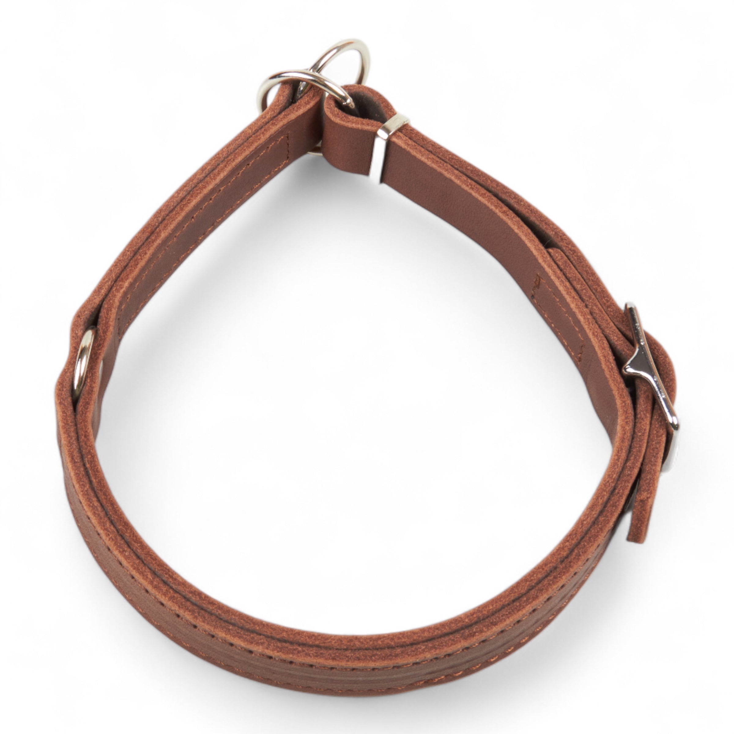Zugstopp Hundehalsband Jagd – kontrolliert Führen & robuste Beschläge –  Jagdexperte Amler