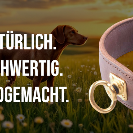 Collection image for: Hundehalsband