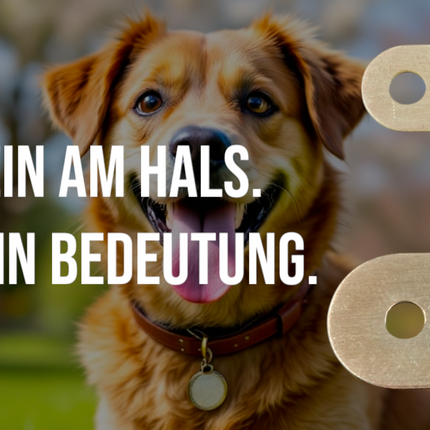 Collection image for: Hundemarken