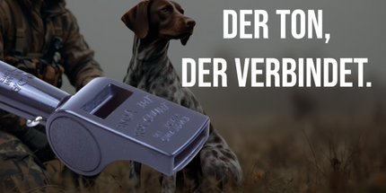 Collection image for: Hundezubehör
