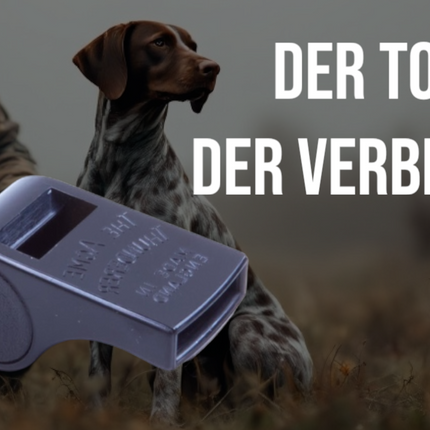 Collection image for: Hundezubehör