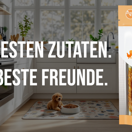 Collection image for: Hundesnack