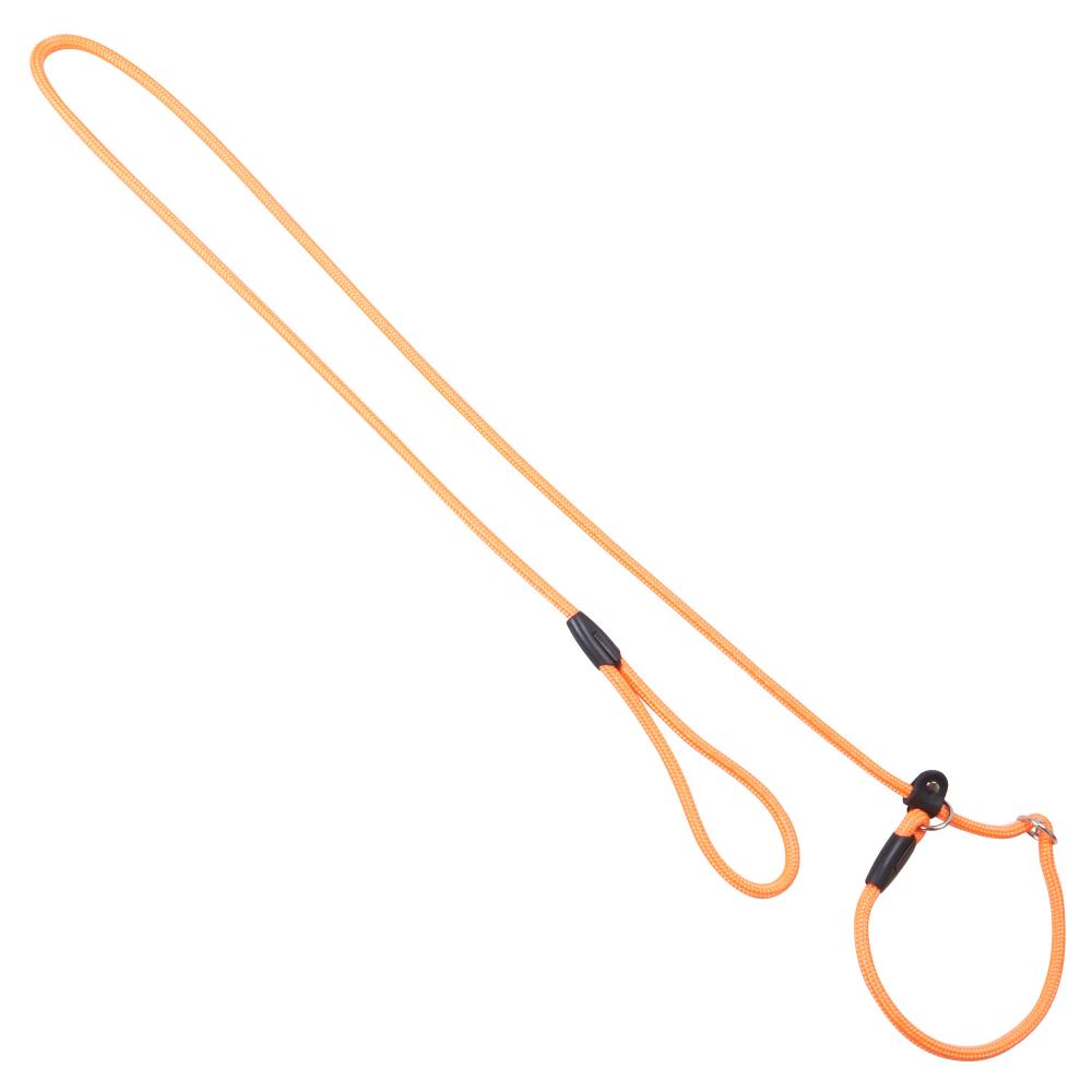 Orangefarbene Moxon Dressurleine für Hunde mit verstellbarer Halsung. Optimal für kontrolliertes Führen beim Hundesport.