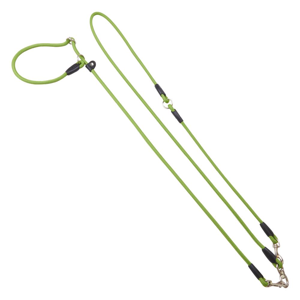 Grüne Moxon Umhängeleine mit Halsband, wetterfest und langlebig. Perfekt für Outdoor-Aktivitäten mit dem Hund.