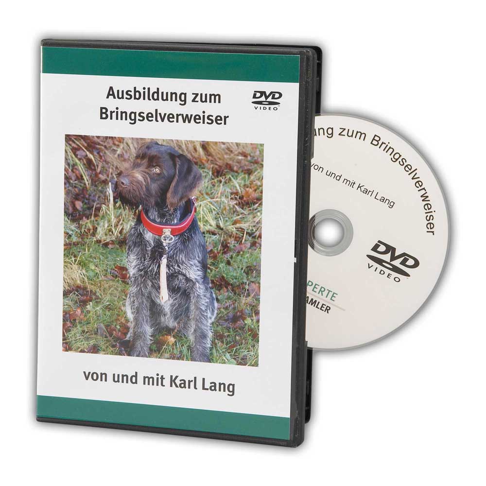 Lehrfilm-DVD 'Ausbildung zum Bringselverweiser mit Karl Lang' zeigt einen Jagdhund mit Bringsel am Halsband. Ideal für Hundetraining.