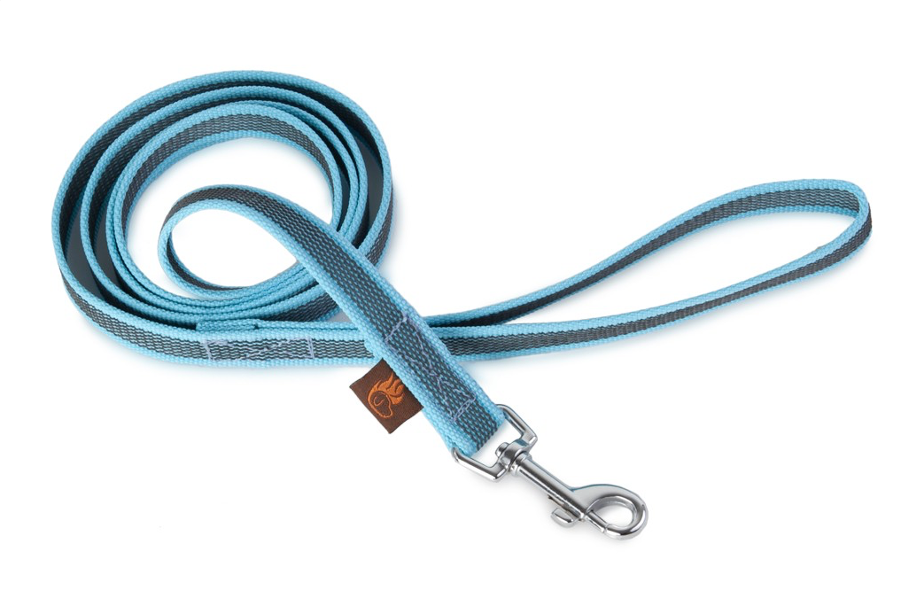 Hellblaue gummierte Hundeleine mit grauen Details, rutschfest und langlebig für komfortable Hundekontrolle im Alltag.