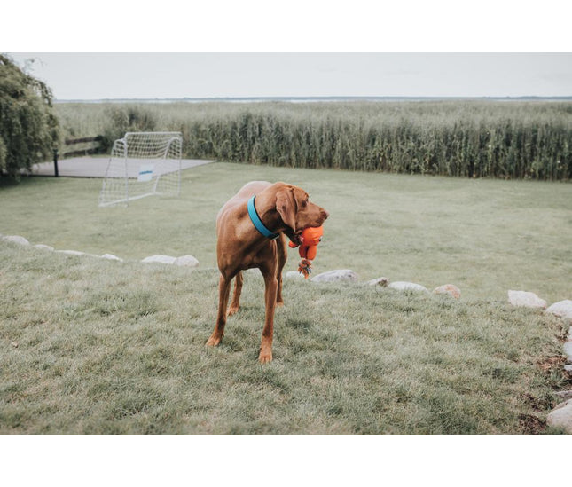 HUNTER_10565_63129_001_live_17-lpr