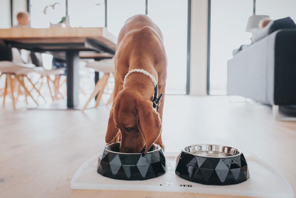 HUNTER_10577_64395_009_live_17