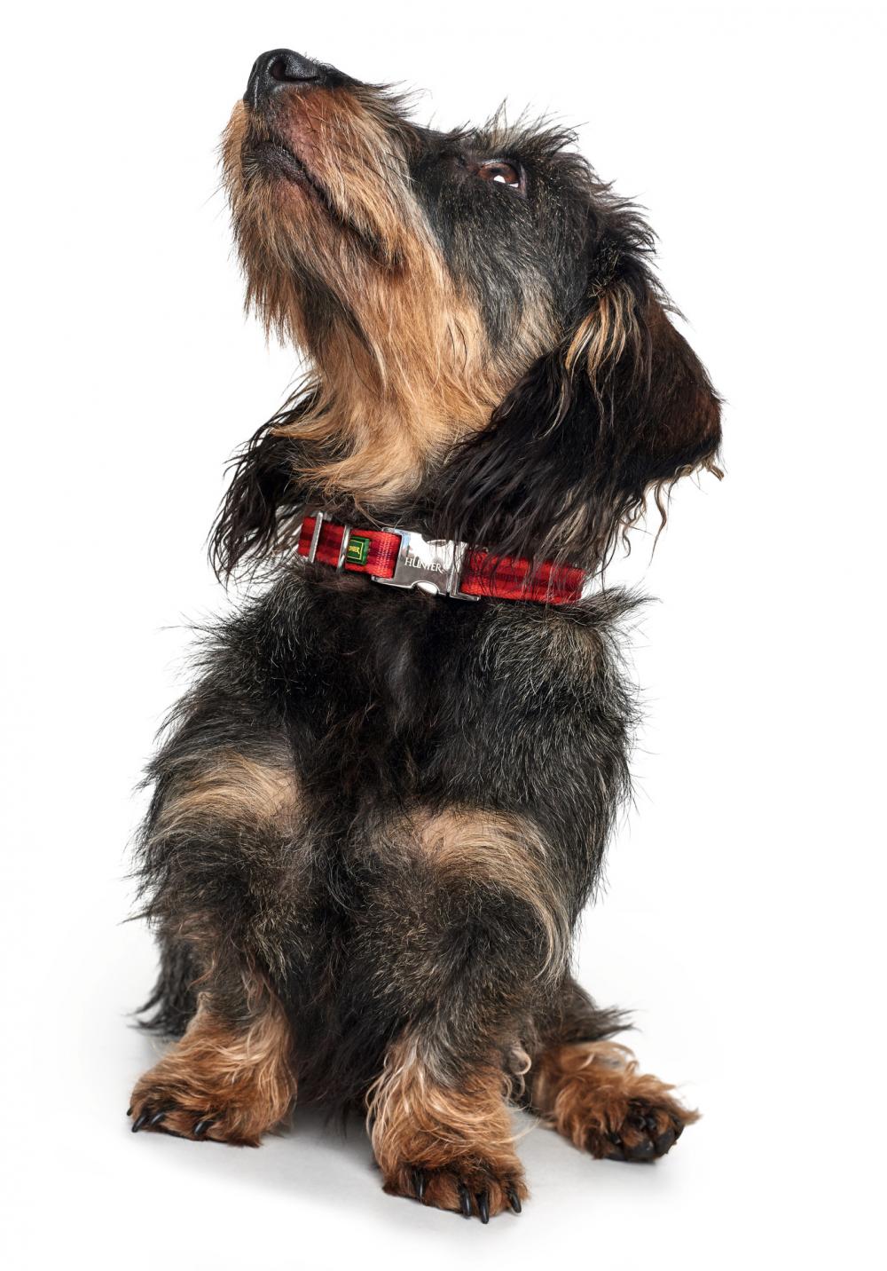 HUNTER_11481_65487_001_image_18-lpr