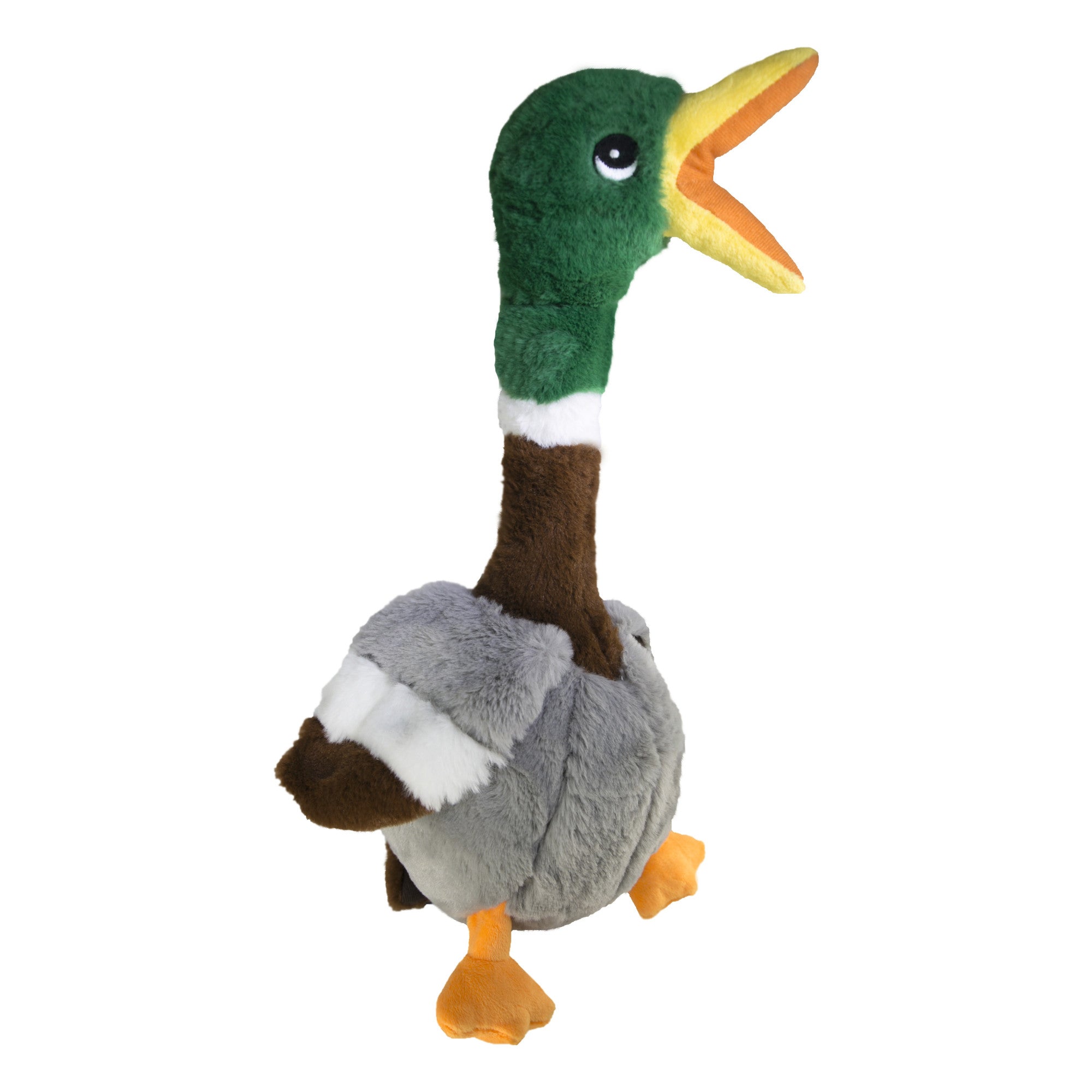 HUNTER_17596_68470_001_20-lpr