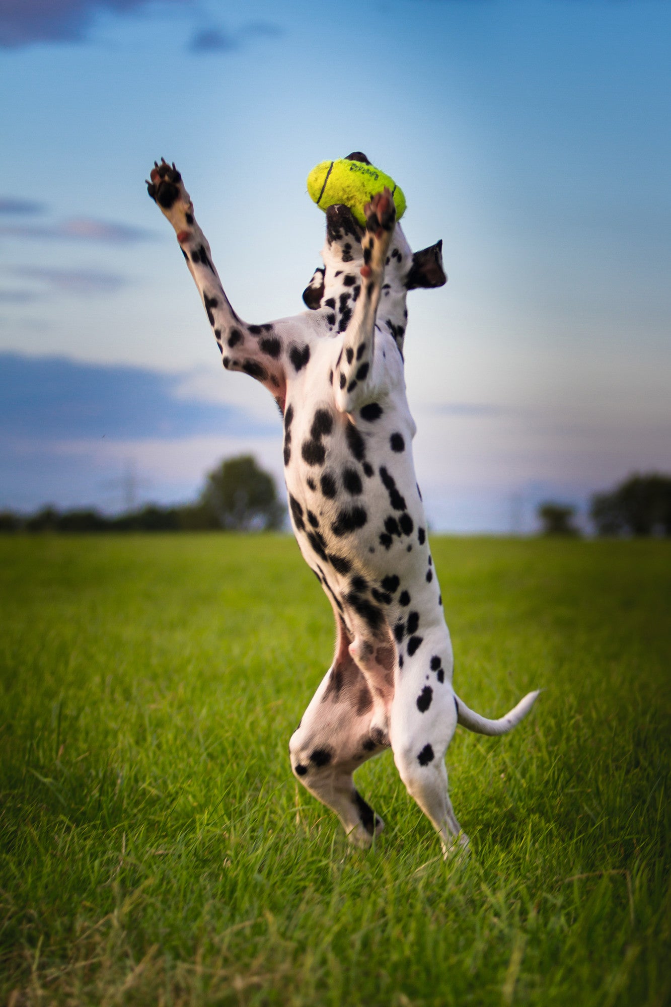 HUNTER_9086_65033_001_live_17-lprzc1WiYovQ5jgL