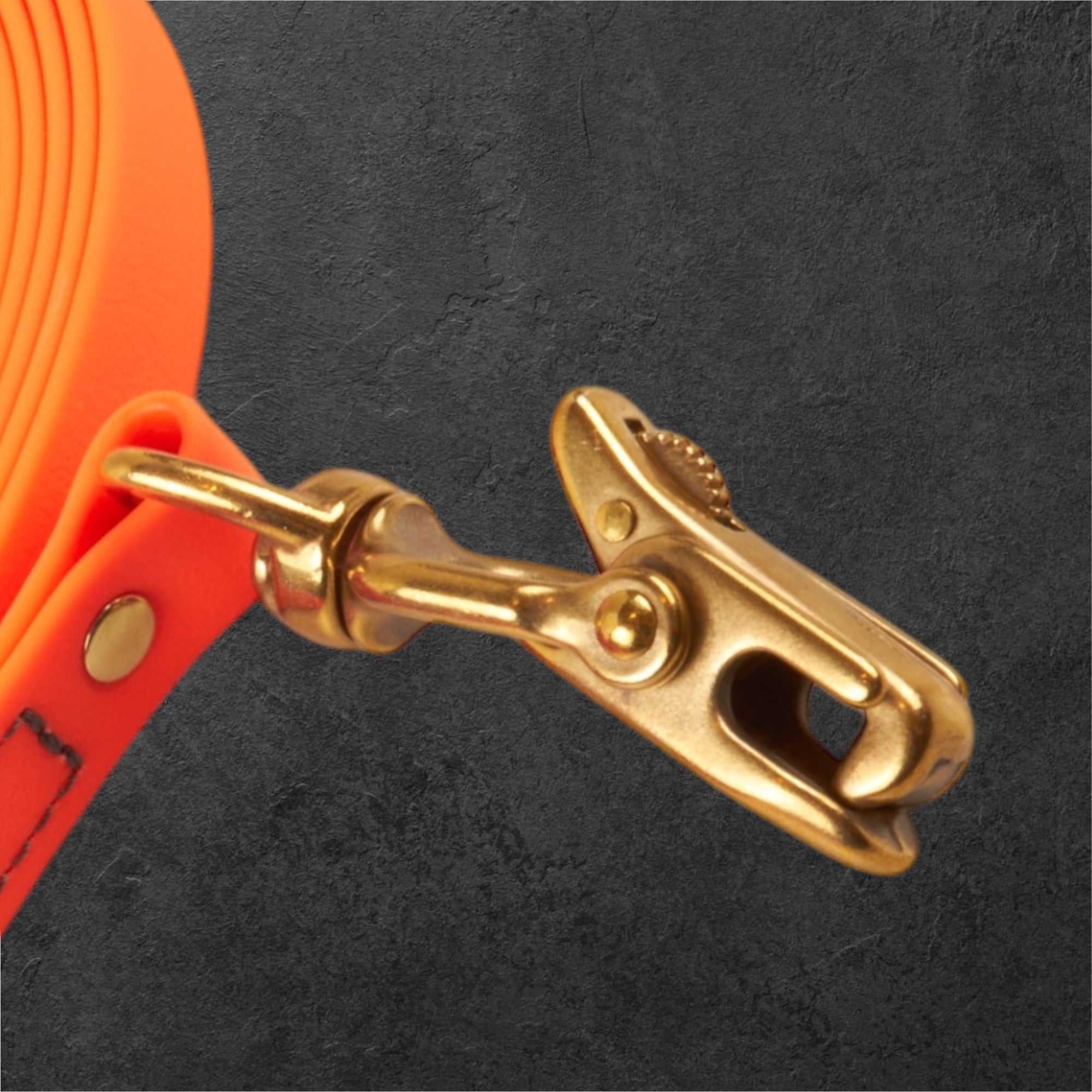 Nahaufnahme des massiven KONG-Scherenkarabiners am betaDog Neon Duo Schweißriemen, sicherer Halt bei der Jagd.