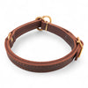 Zugstopp Hundehalsband „Brass Line“