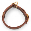 Zugstopp Hundehalsband „Brass Line“