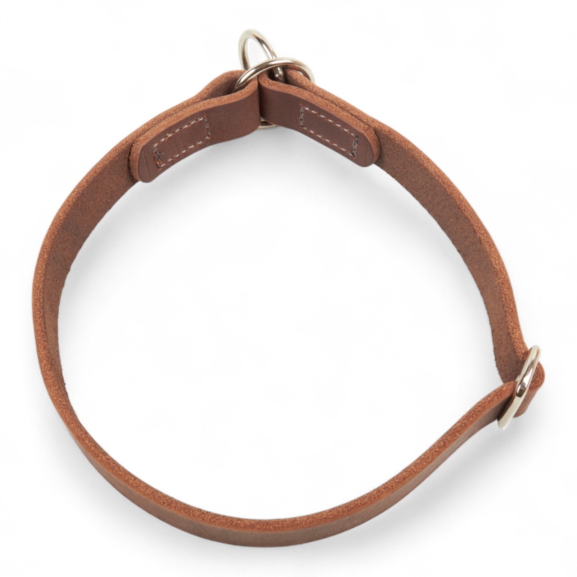 Zugstopp Hundehalsband Light