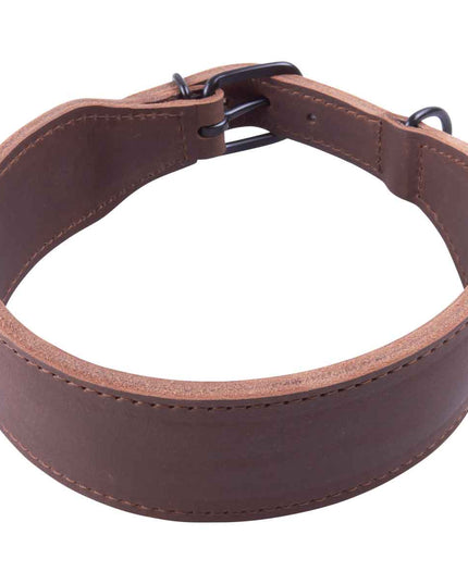 halsband_leder_braun_breit_2