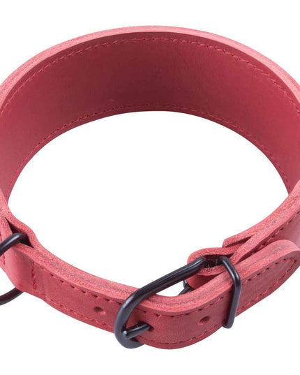 halsband_leder_rot_breit_1