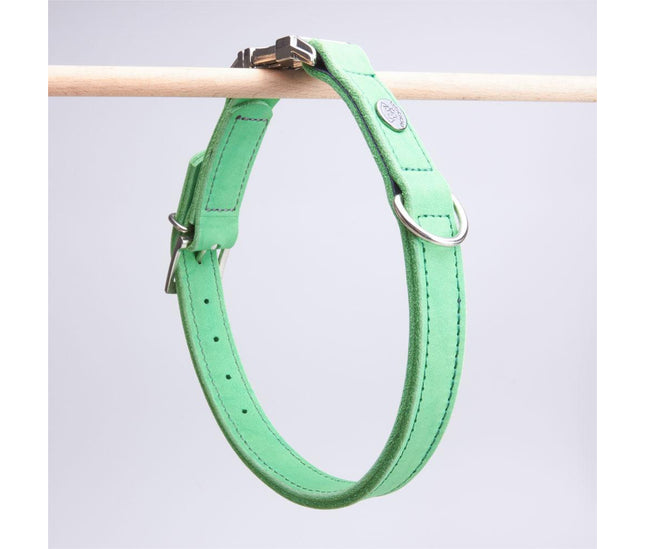 halsband_mit_klick_apfelgruen