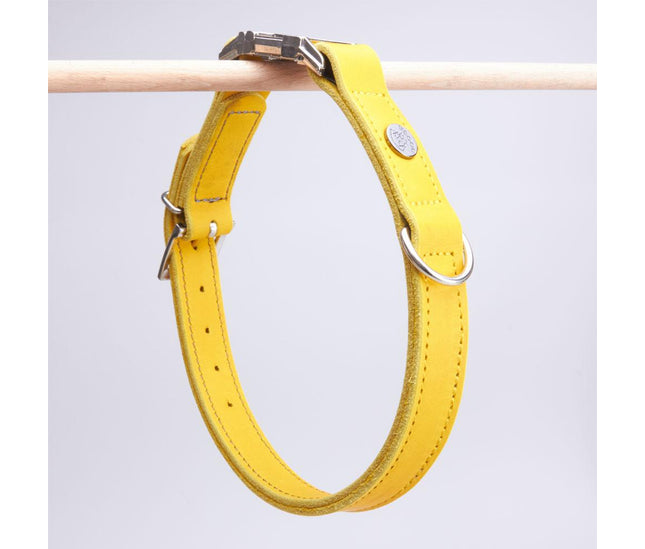 halsband_mit_klick_curry