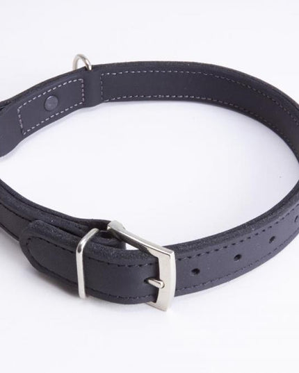 halsband_mit_klick_schwarz_3
