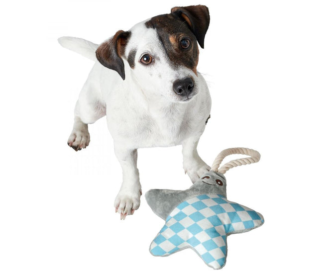 hunter_hundespielzeug_salima_stern_grau2