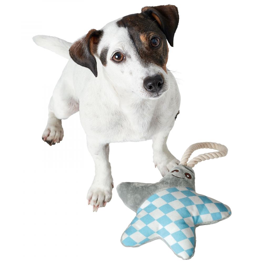 hunter_hundespielzeug_salima_stern_grau2