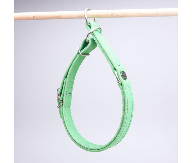 zugstopp_halsband_apfelgruen