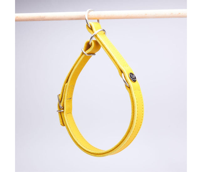 zugstopp_halsband_curry