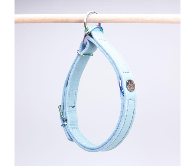 zugstopp_halsband_eisblau