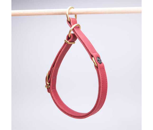zugstopp_halsband_rot