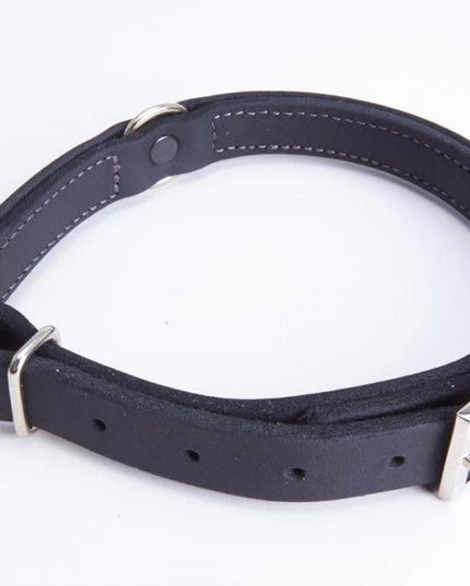 zugstopp_halsband_schwarz_2