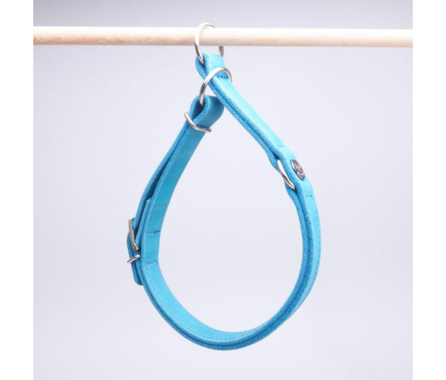 zugstopp_halsband_tuerkis
